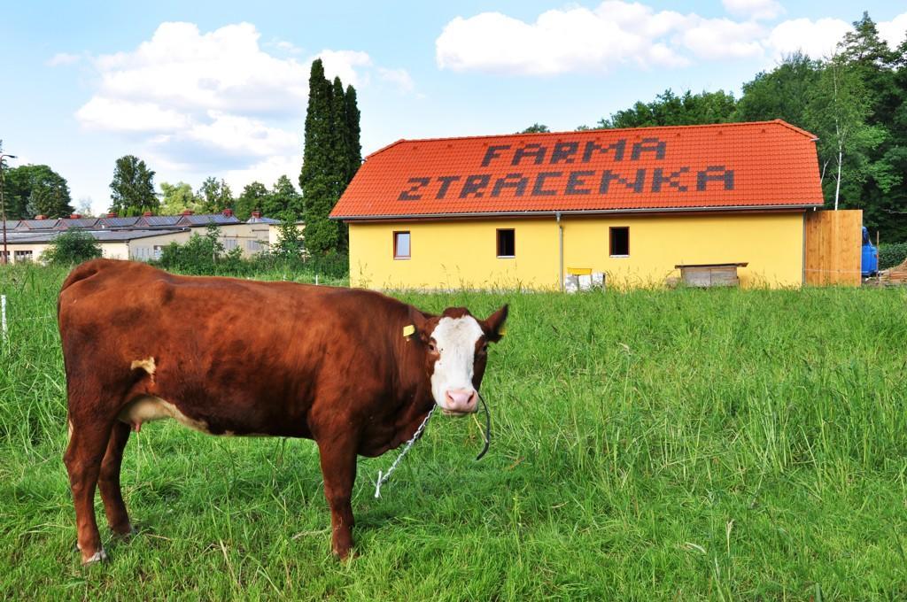Отель Farma Ztracenka Porici nad Sazavou Экстерьер фото