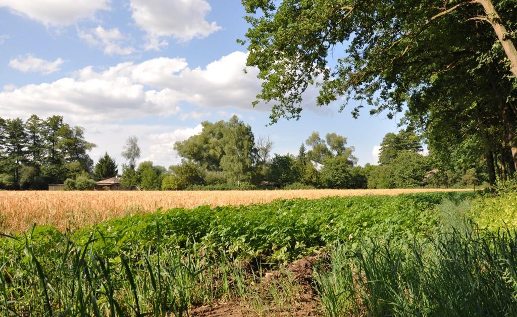 Отель Farma Ztracenka Porici nad Sazavou Экстерьер фото