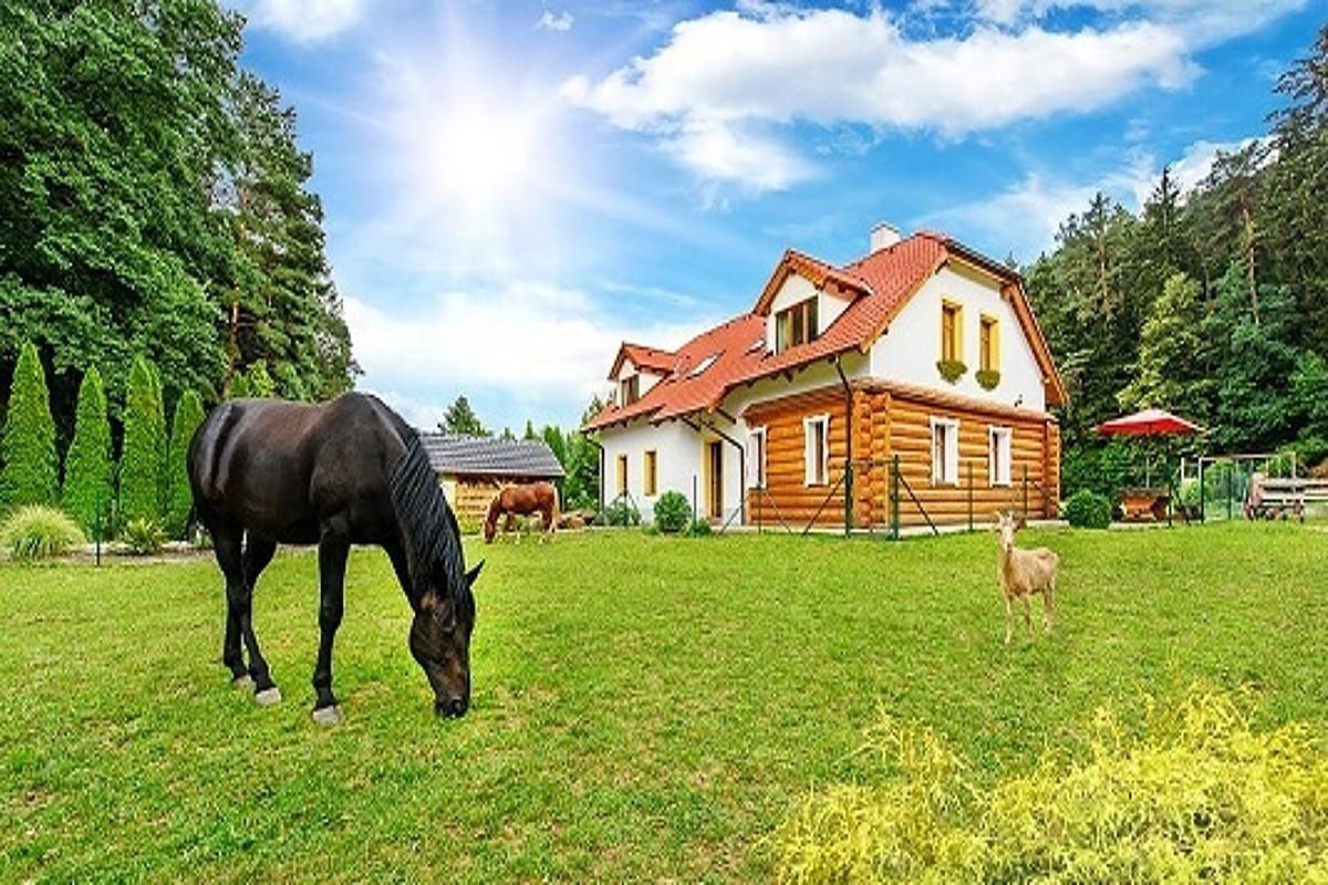 Отель Farma Ztracenka Porici nad Sazavou Экстерьер фото
